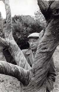 Virginia Haggard-Leirens d'André Colinet