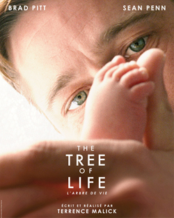 jaquette dvd du film Tree of life