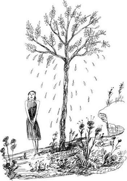 Photos Blutch 