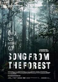 cover dvd Song from the forest