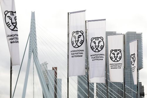Festival International du Film de Rotterdam 2019