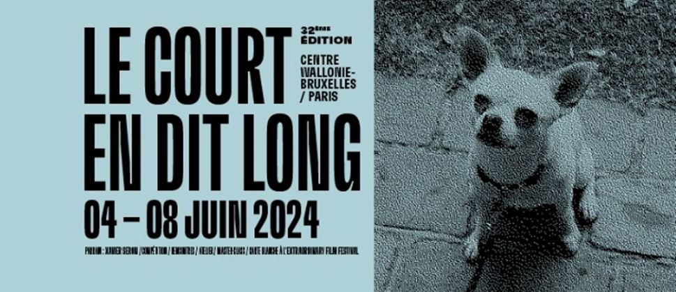 Palmarès du 32ème Festival 'Le Court en dit long'