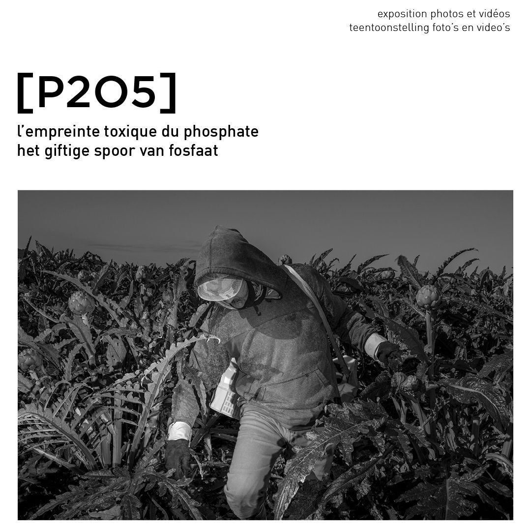 Exposition [P2O5] L’empreinte toxique du phosphate