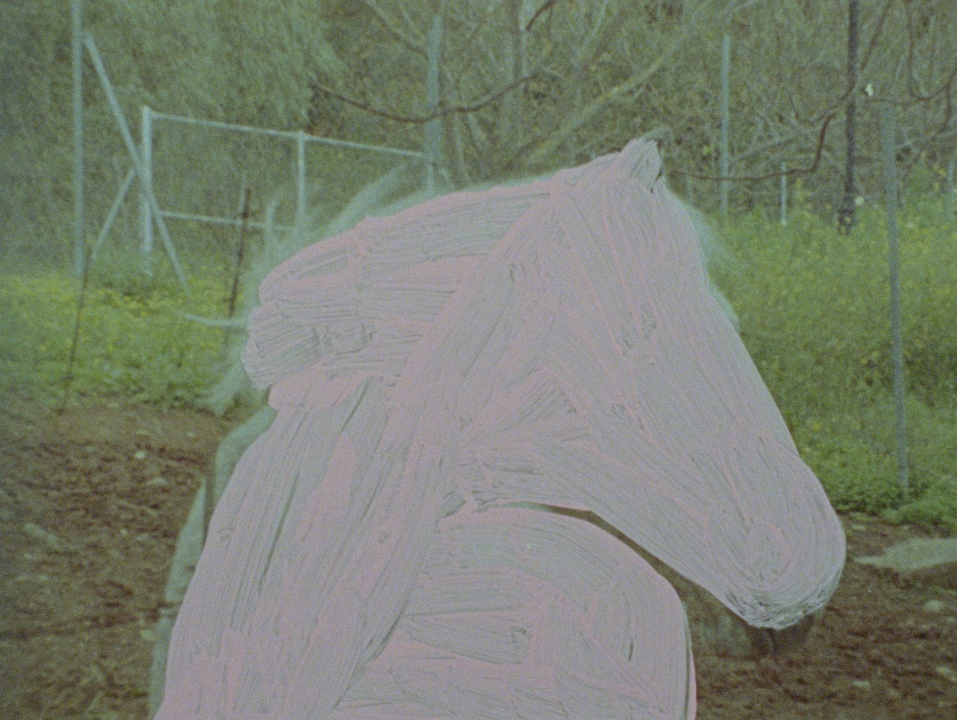 Kino Apéro - film d'animation en pellicule