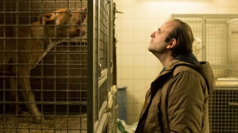  CHIEN de Samuel Benchetrit