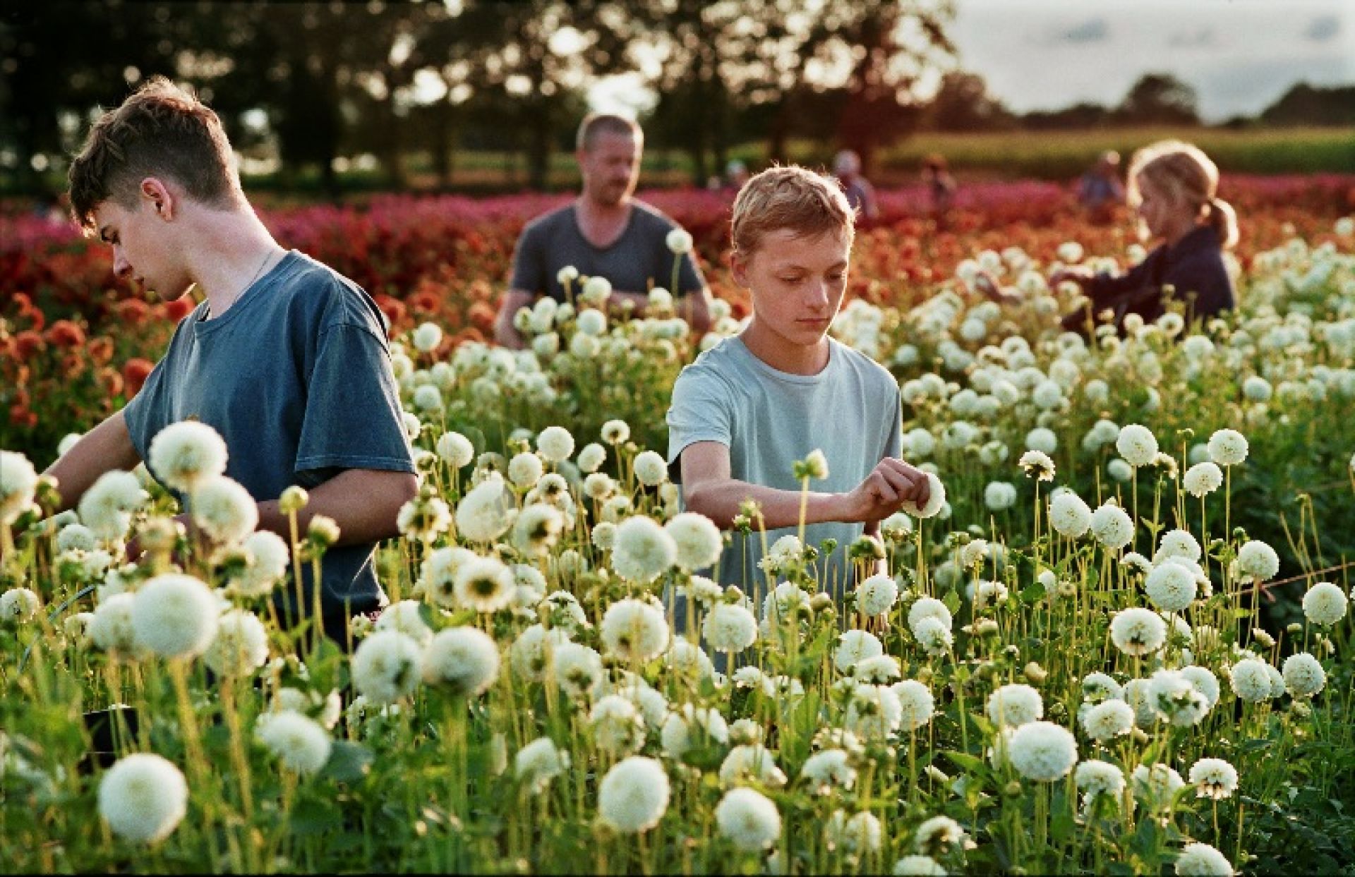 Le Festival du cinéma belge de Moustier-sur-Sambre