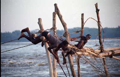 Congo River de Thierry Michel