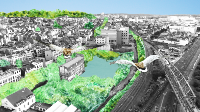 Le Marais Wiels de Catherine Le Goff