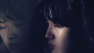 Mian/Visages de Paul Vincent de Lestrade