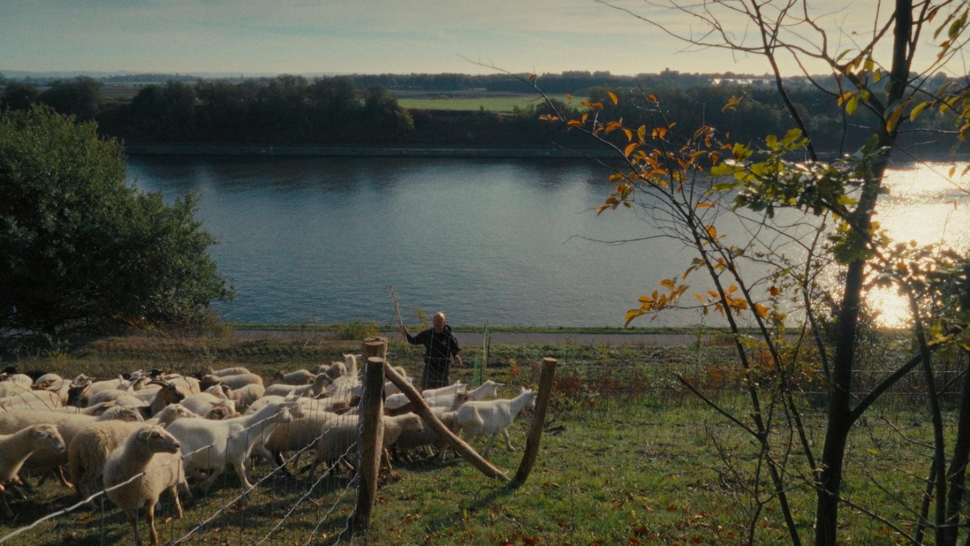 Schaap de Ruud De Keyzer