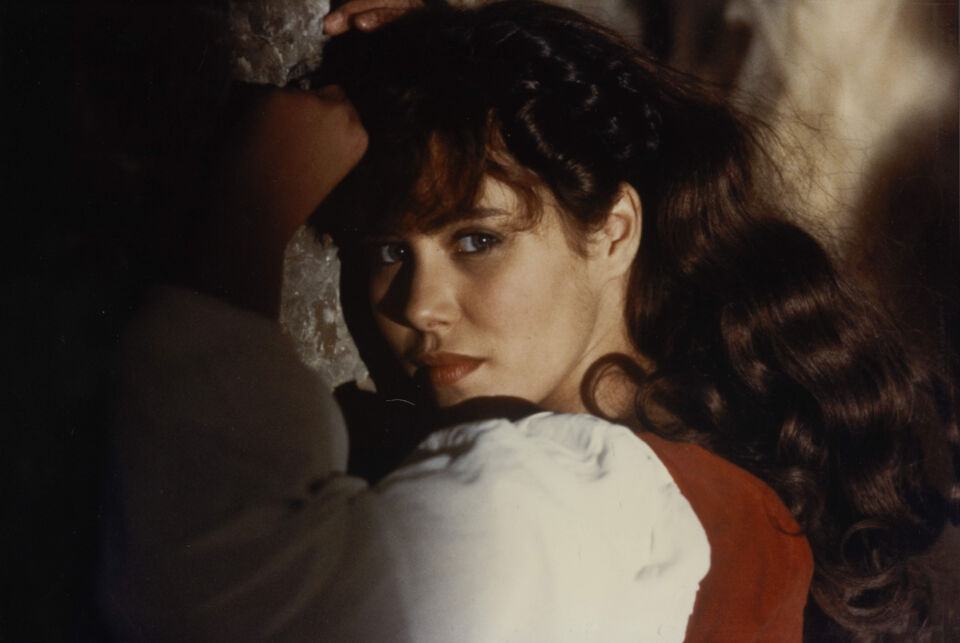 Les Secrets de l’amour, Harry Kümel, 1986