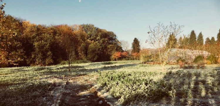 Les Terres d’ici de Stéphane Vuillet