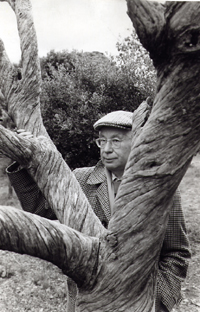 Henri Storck et un arbre