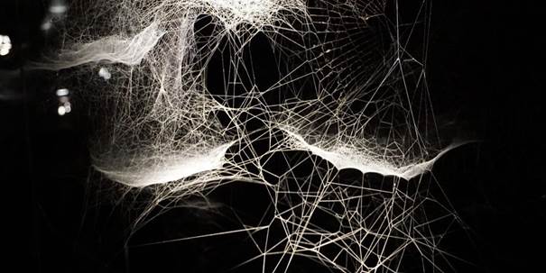 Couverture de l'article Cycle numérique: Conférence + film à PointCulture Bruxelles