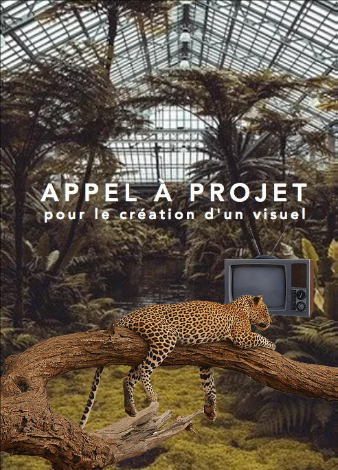 Psymages lance son 1er appel à projet pour la création d’un visuel - 