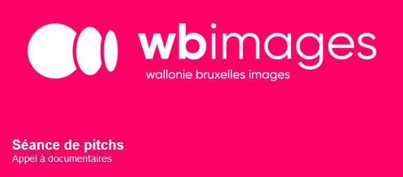 Séance de pitchs - Wallonie Bruxelles Images - 