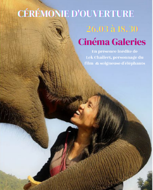 Festival Millenium : Cérémonie d'ouverture - 