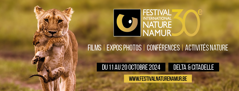 FINN 30e : Appel à films 2024 - 