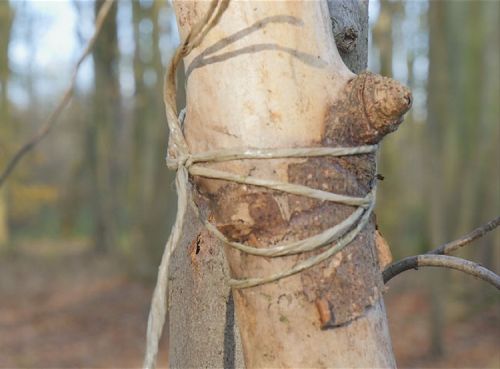 Couverture du film Abri