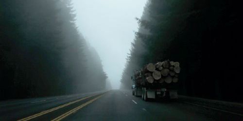 Couverture du film Behind the redwood curtain