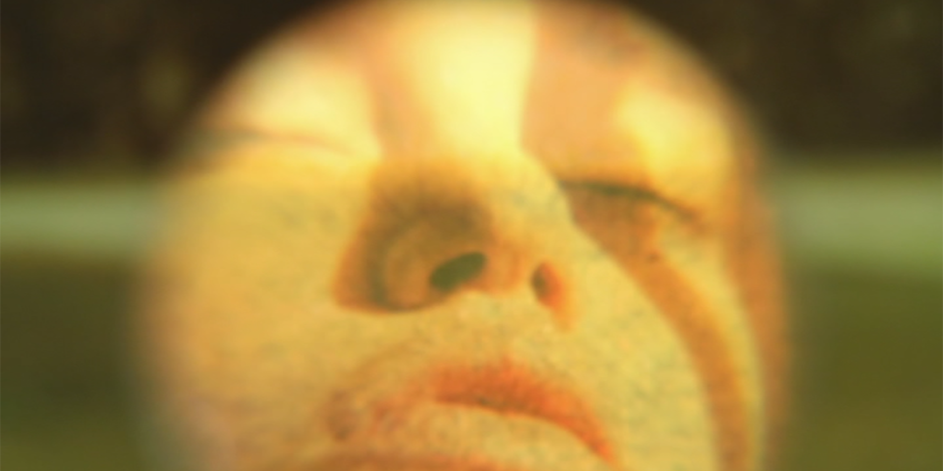 Couverture du film Belles endormies