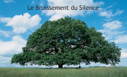 Couverture du film Le Bruissement du silence