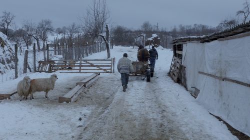 Couverture de l'article Ceux qui restent en Avant-première le 29 mai au Cinéma Palace