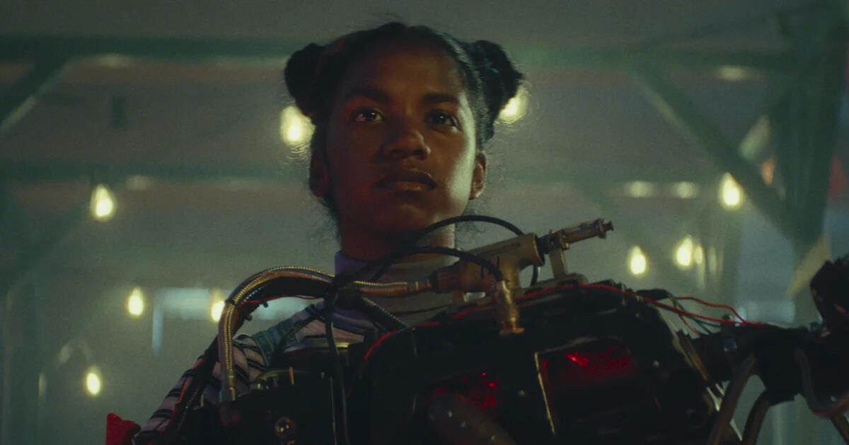 Couverture du film De gebroeders schimm