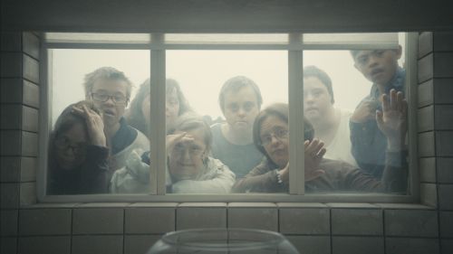 Couverture du film Downside up