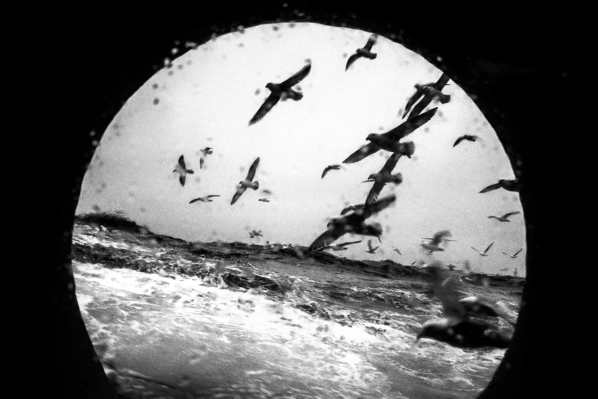 Une soirée de courts métrages engagés au Ciné4 de Nivelles - 