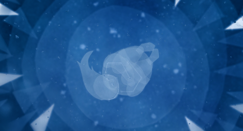 Couverture du film Fabuleuses créatures