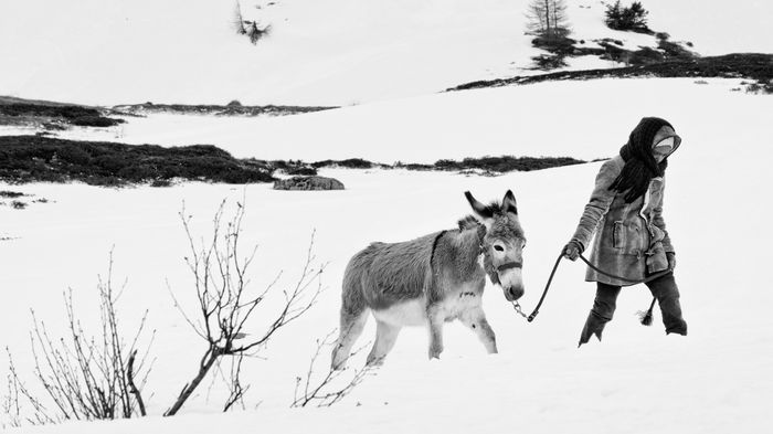 Couverture du film Fortuna