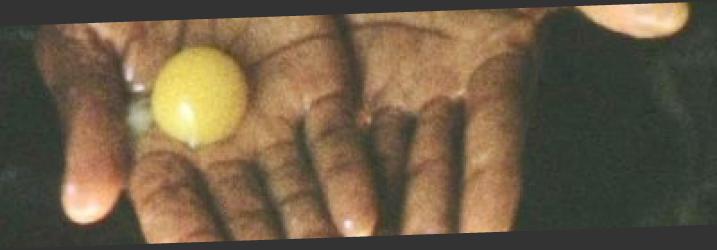 Couverture du film Gnawa