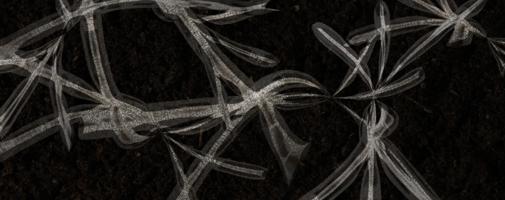 Couverture du film Haptomai