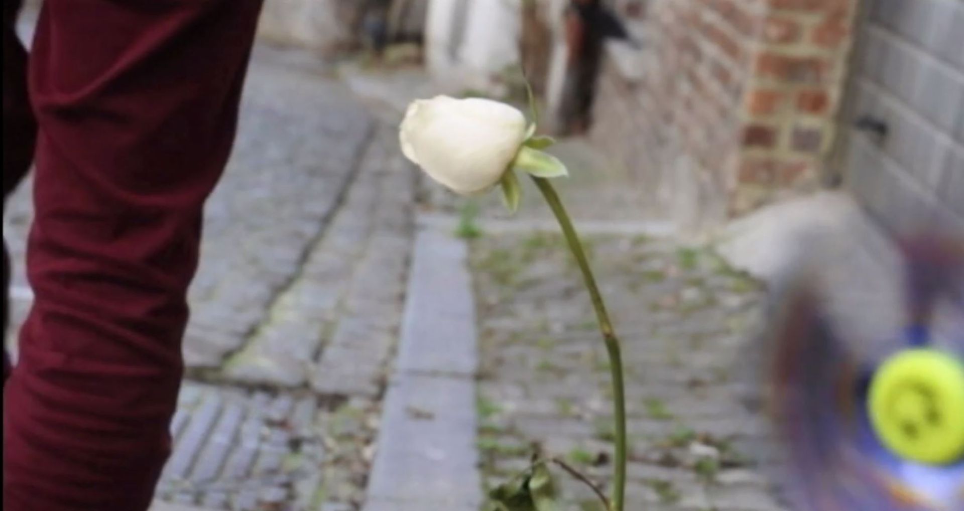 Couverture du film Histoire d'un pot de fleur