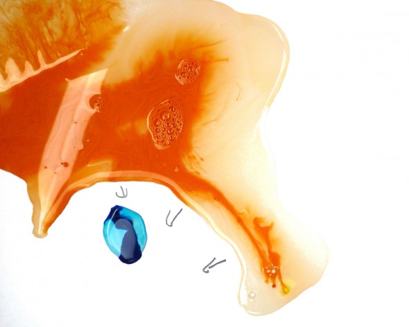 Couverture du film HITCH & BLOTCH