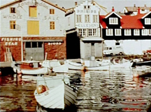 Couverture du film Les îles féroé