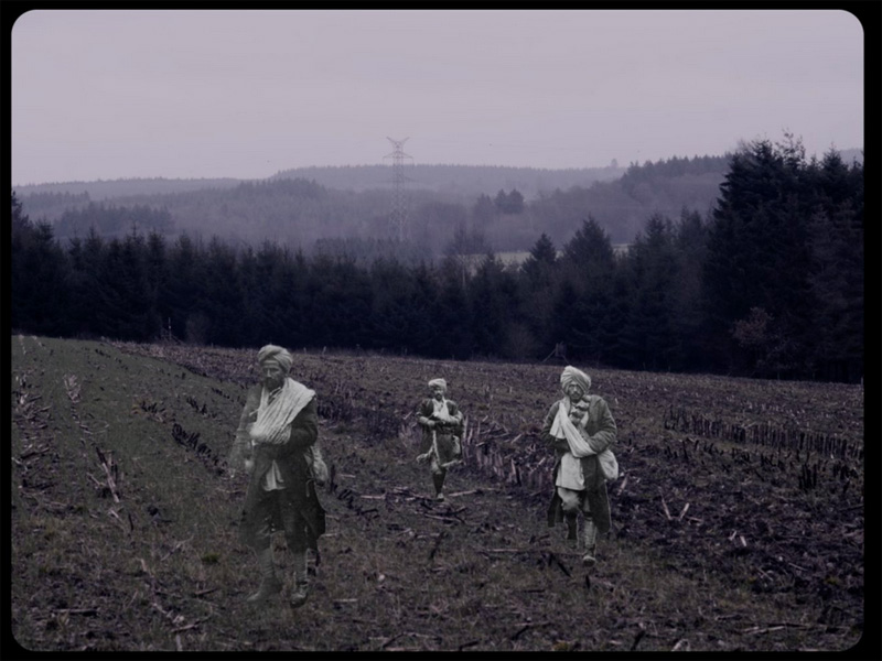 In Flanders Fields