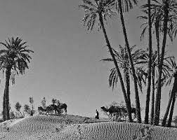 Couverture du film Kaléidoscope - Episode 22 : Le monastère de Benediktbeuern	