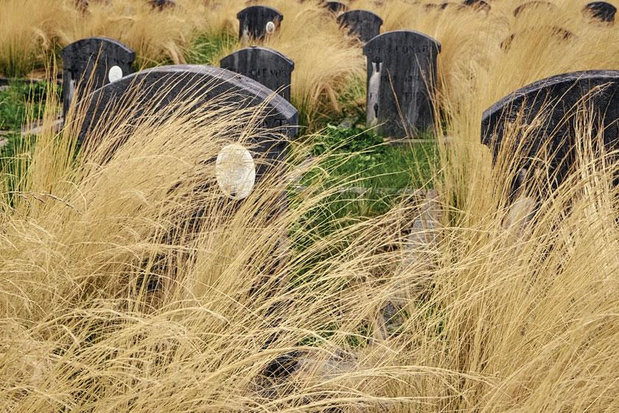 Couverture du film Mourir
