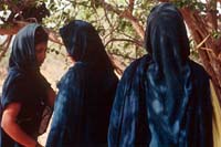 Couverture du film Némadis, des années sans nouvelles