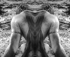 Couverture du film Papillon d'amour