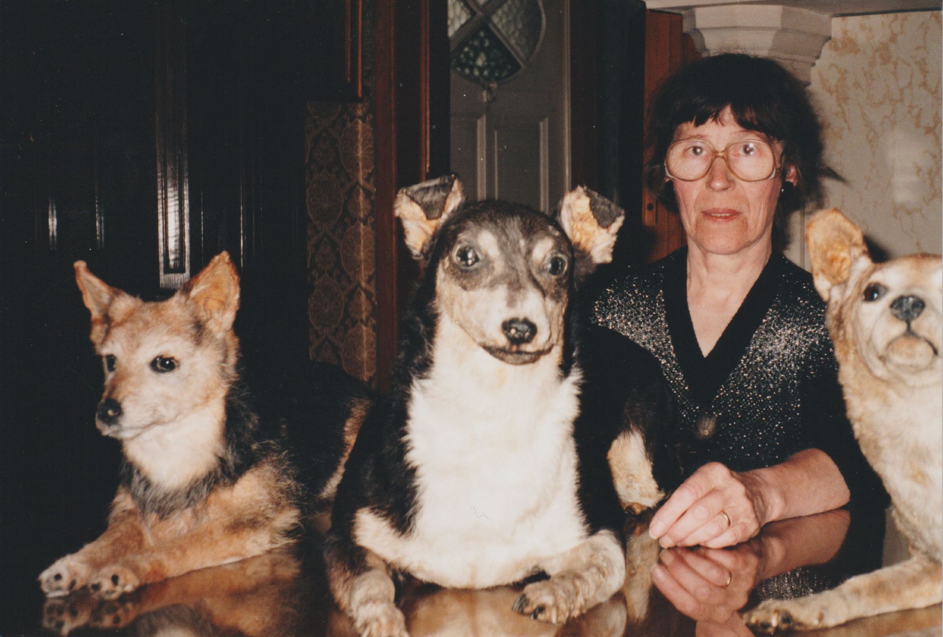 Couverture du film Peaux de chagrin