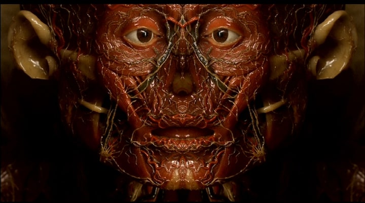 Petite anatomie de l'image