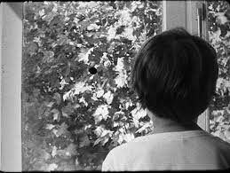 Couverture du film Pierre à images