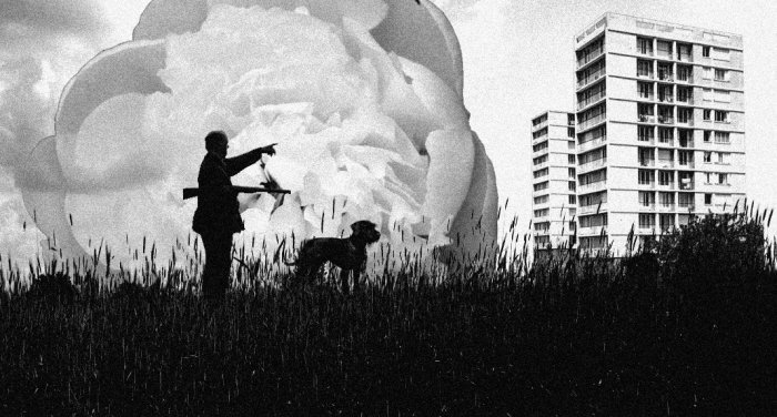 Couverture du film La pivoine