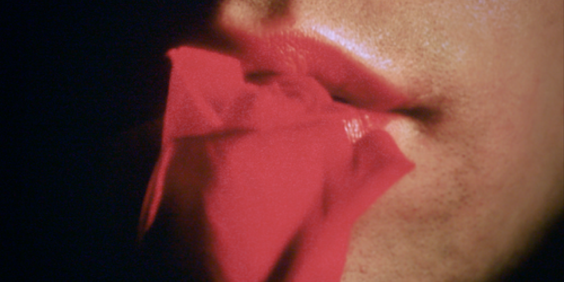 Couverture du film Pornatopia