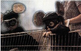 Couverture du film Procession, et Caetera