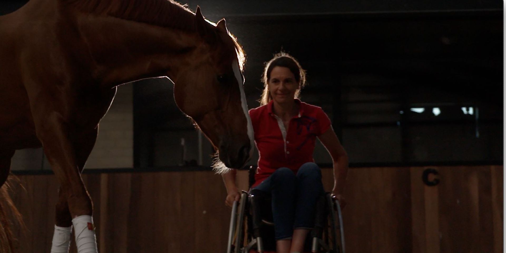 Couverture du film Remède de cheval