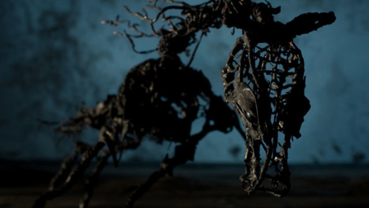 Ruis de Marike Verbiest